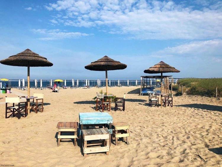 Casa Luciana, La Tua Casa Al Mare Lägenhet Marina di Ravenna Exteriör bild